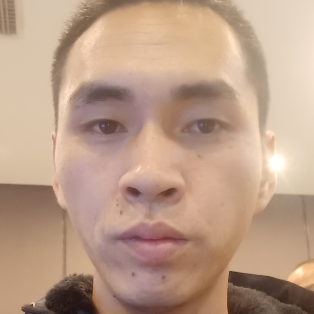 黑猫繁荣的照片