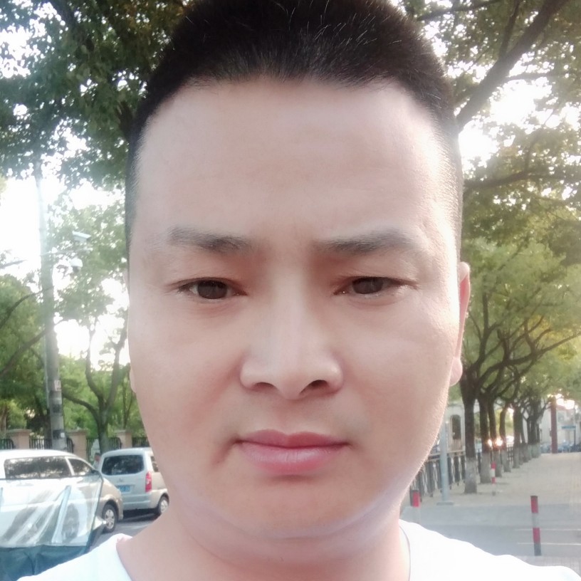 书包苦恋虚拟的照片