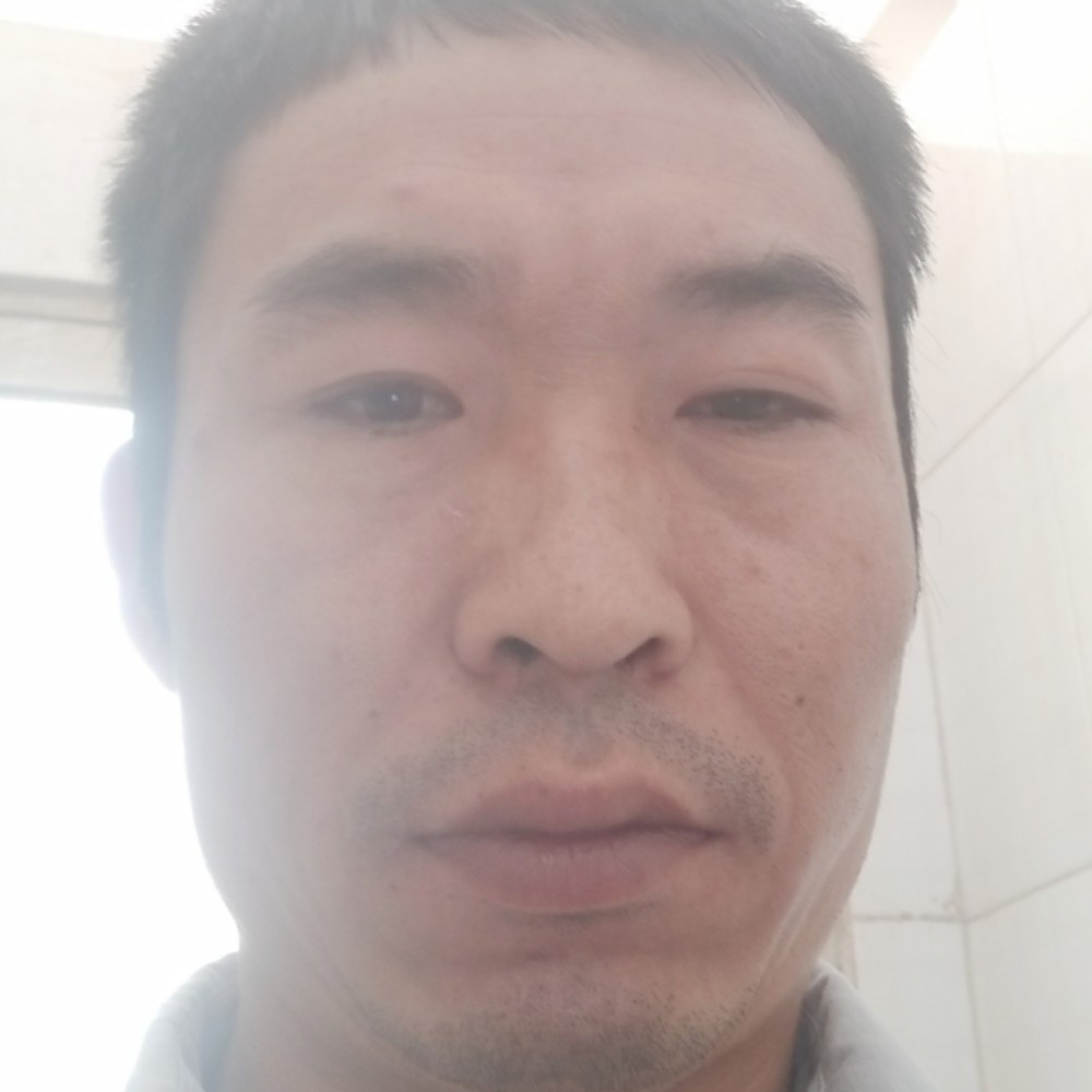 优雅蹙眉小蚂蚁的照片