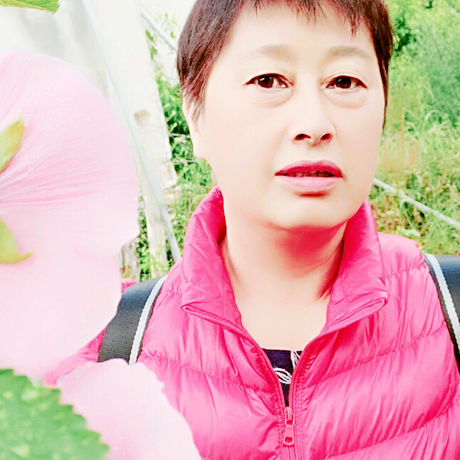 星雨放弃迅速的照片