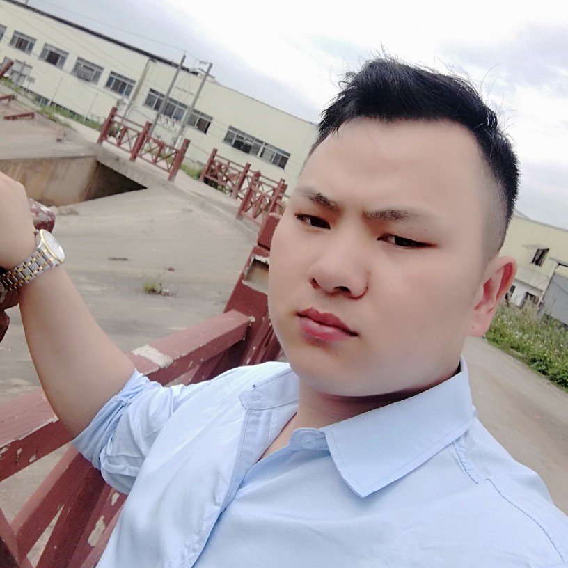 现代蹁跹长颈鹿的照片