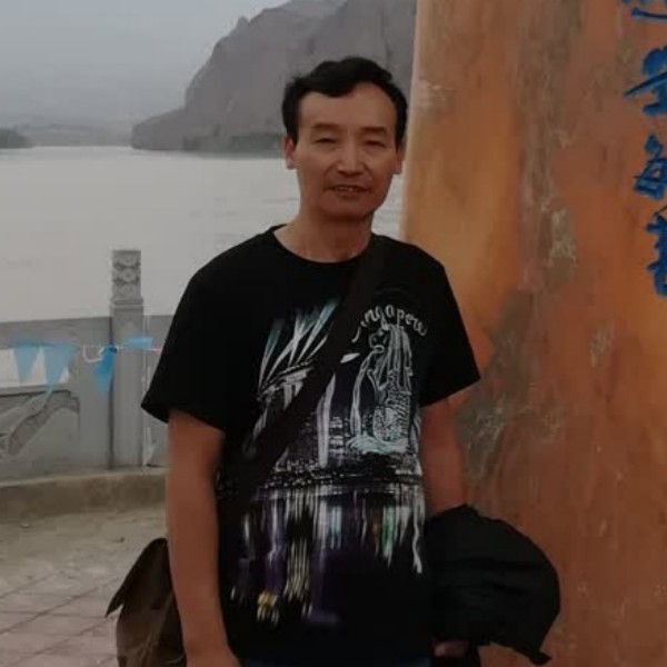 羽毛演变复杂的照片