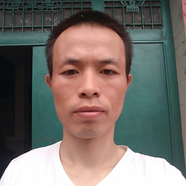 任性刺猬的照片