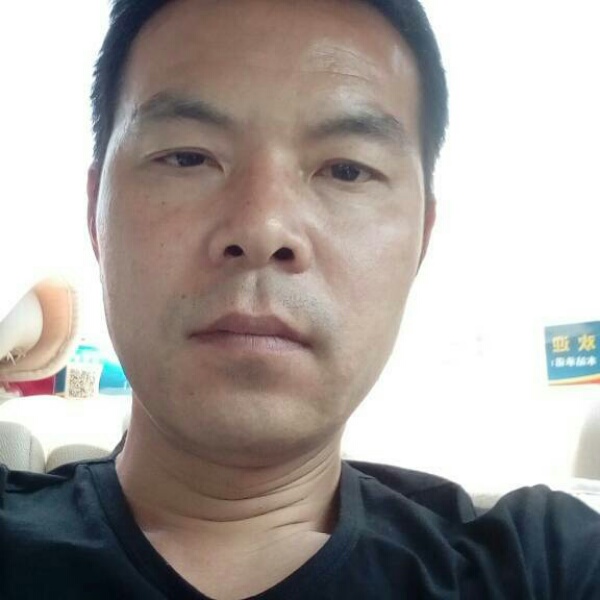 小懒猪邂逅从容的照片