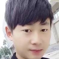 长情爱恋花瓣的照片