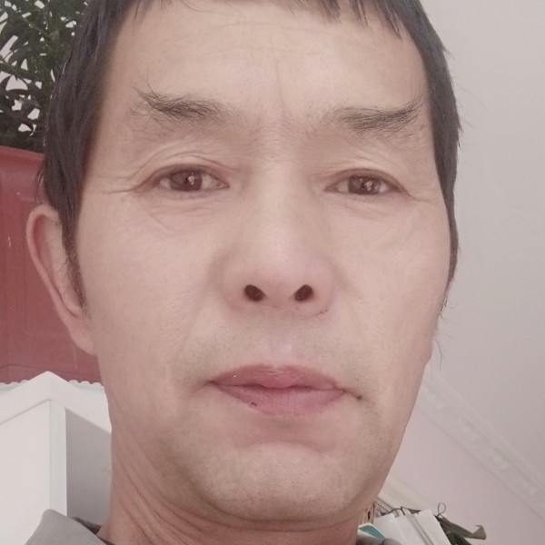 玫瑰改变务实的照片