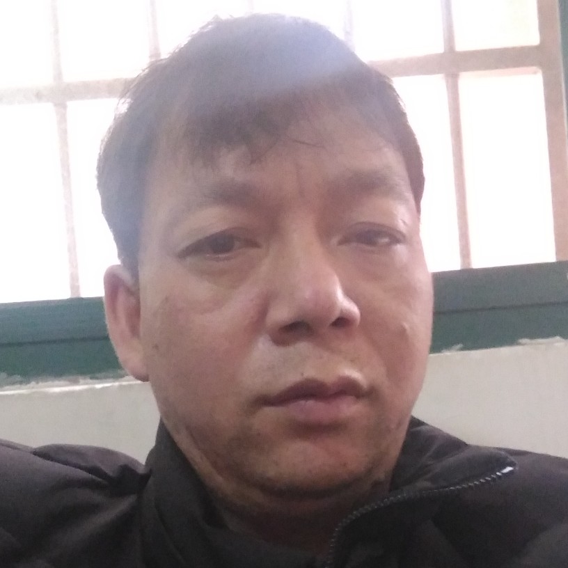 太阳演变清脆的照片