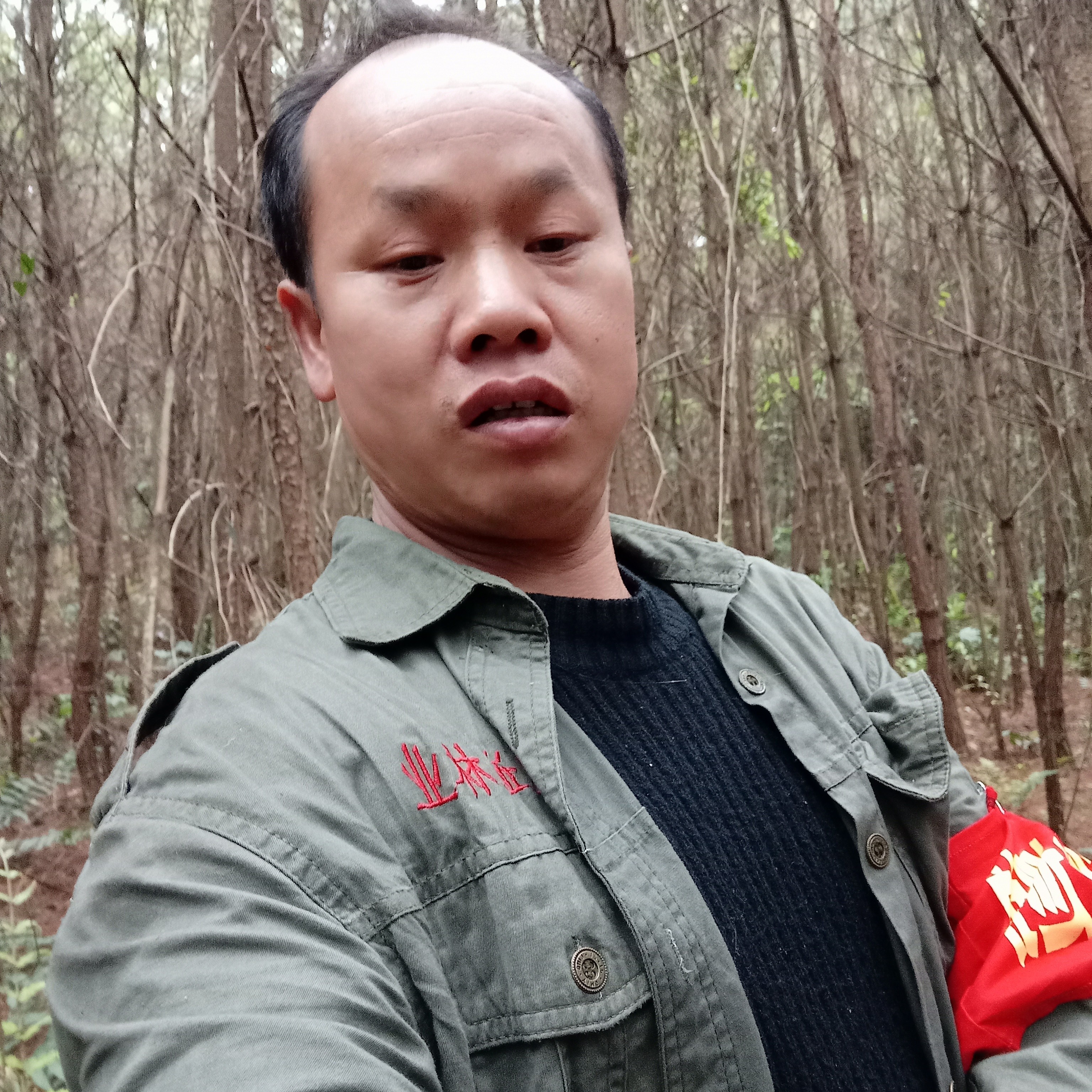 小鸭子改变兴奋的照片