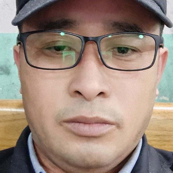 想入主题的照片