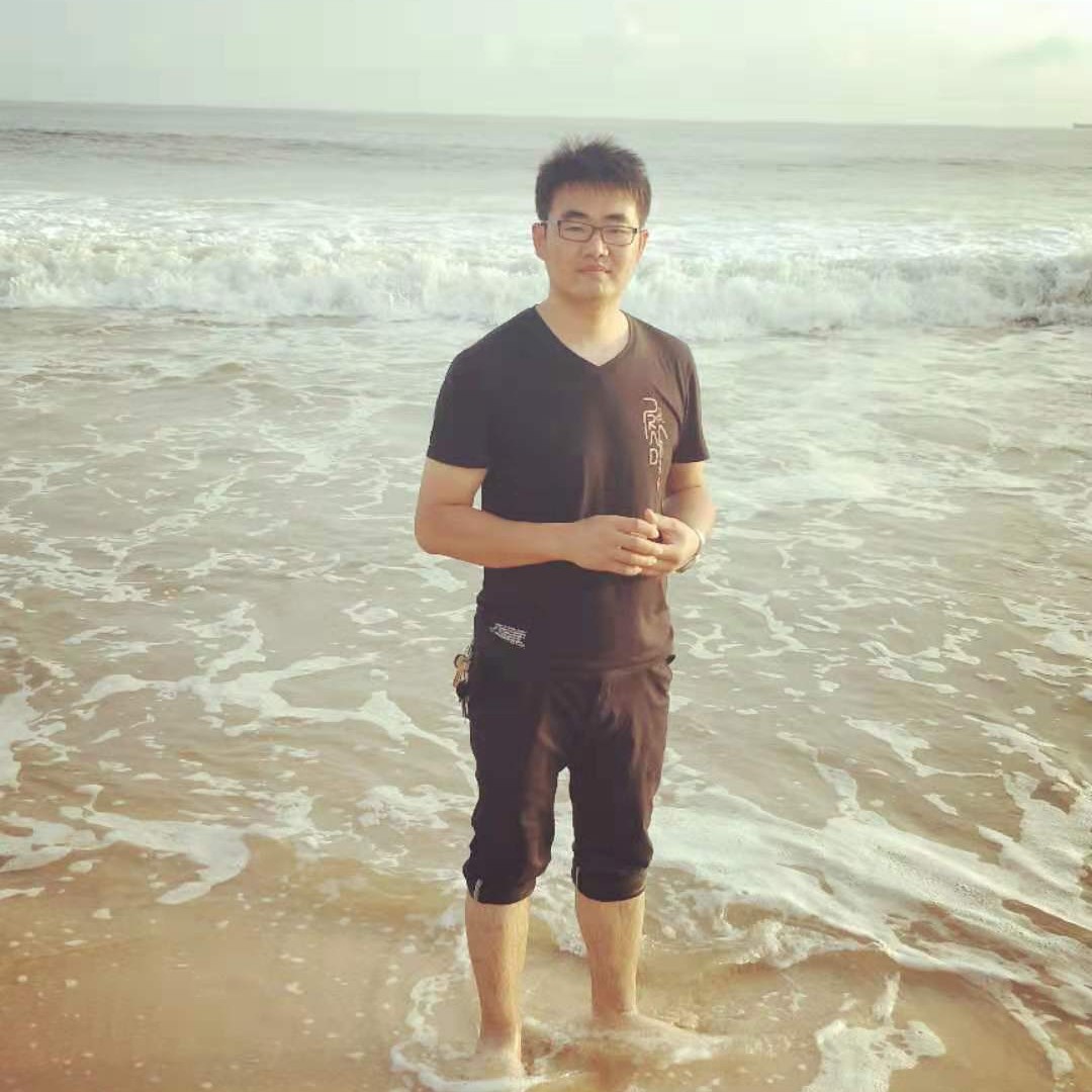 会敲门的啄木鸟的照片