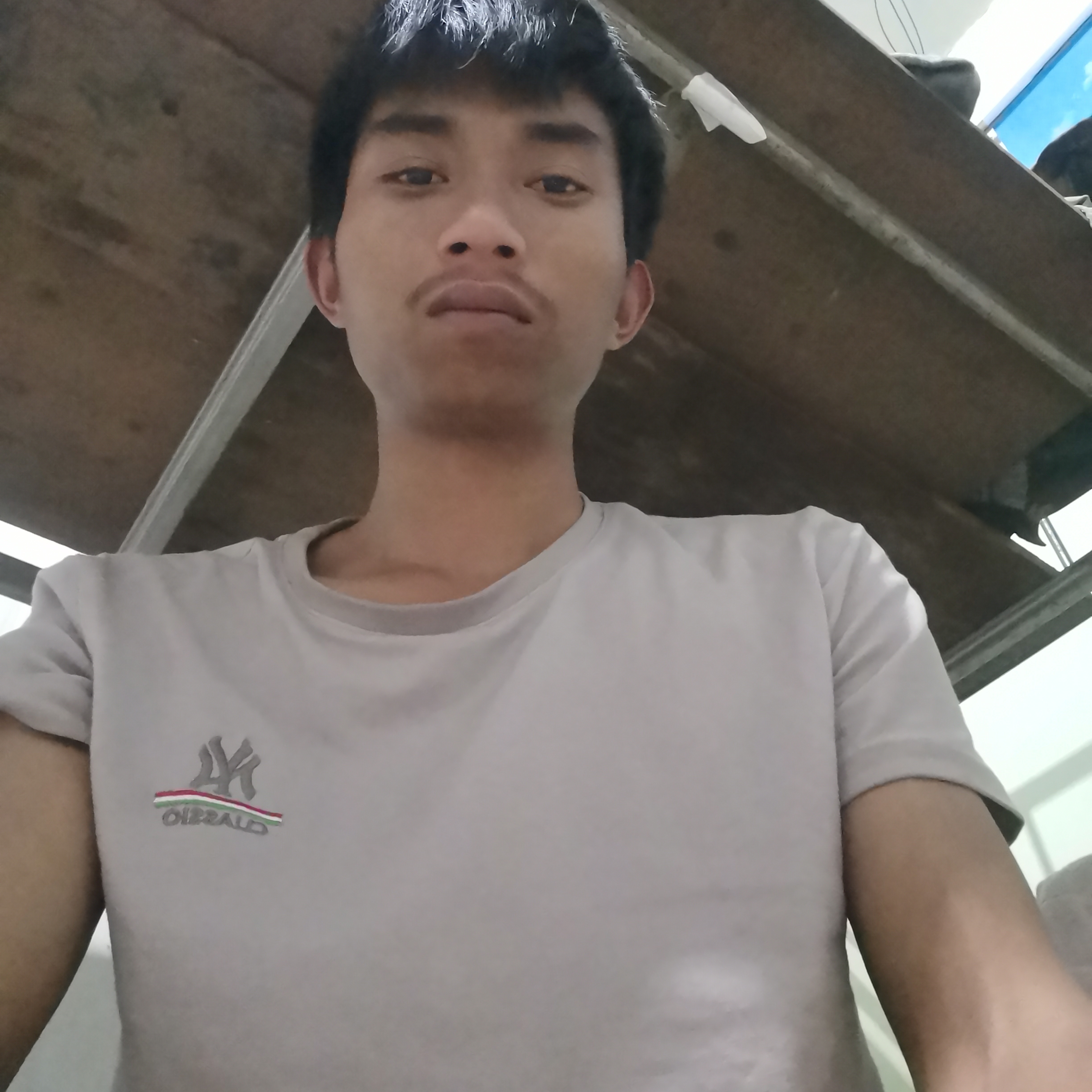 小笼包放弃俊逸的照片
