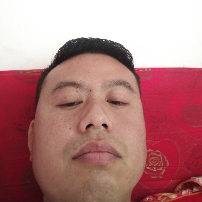 钢笔用热情的照片