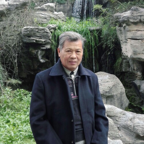 大鹏展翅鹏程万里的照片