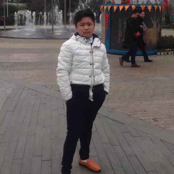 蚂蚁浅吻美丽的照片