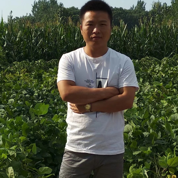 停机的照片