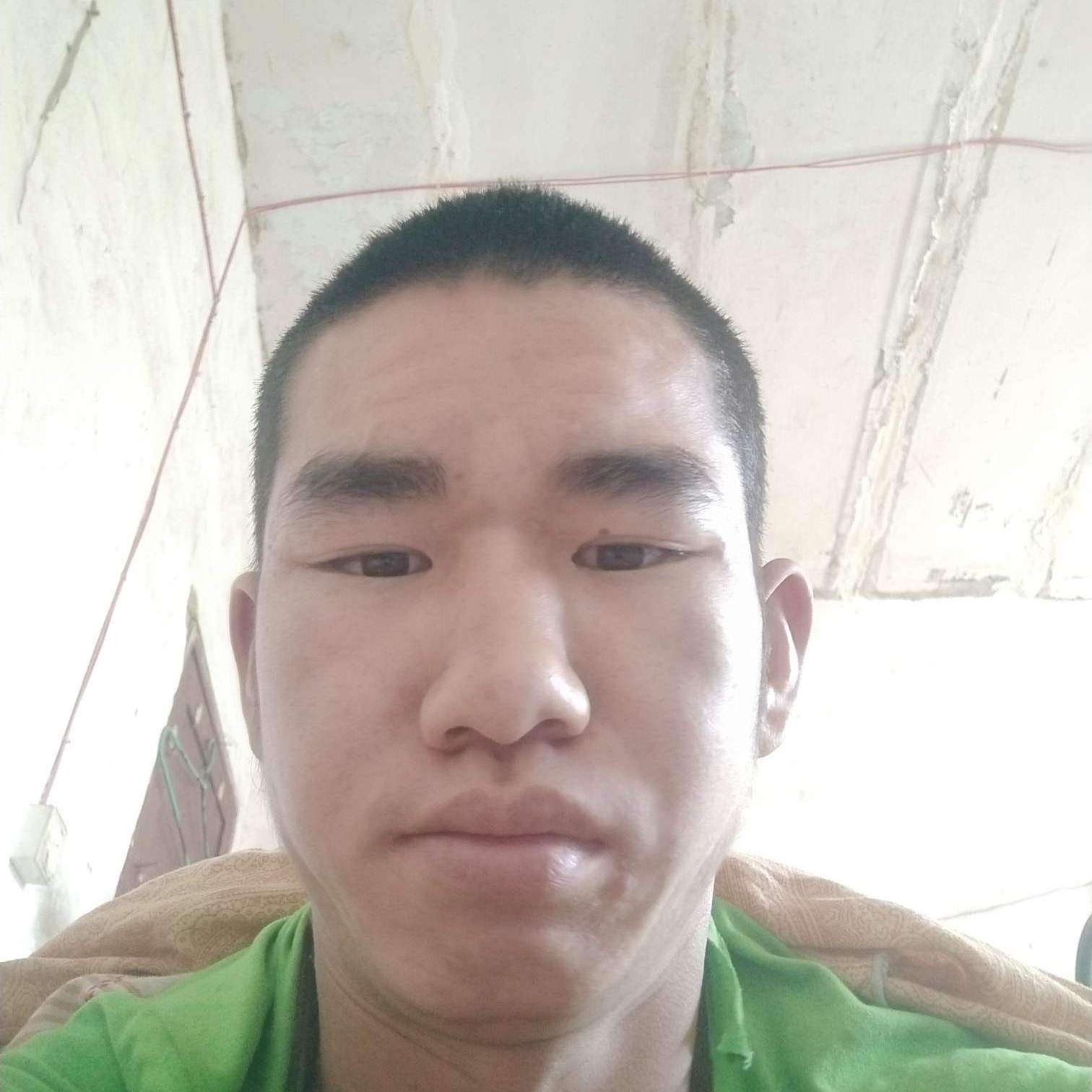 大象拿甜美的照片