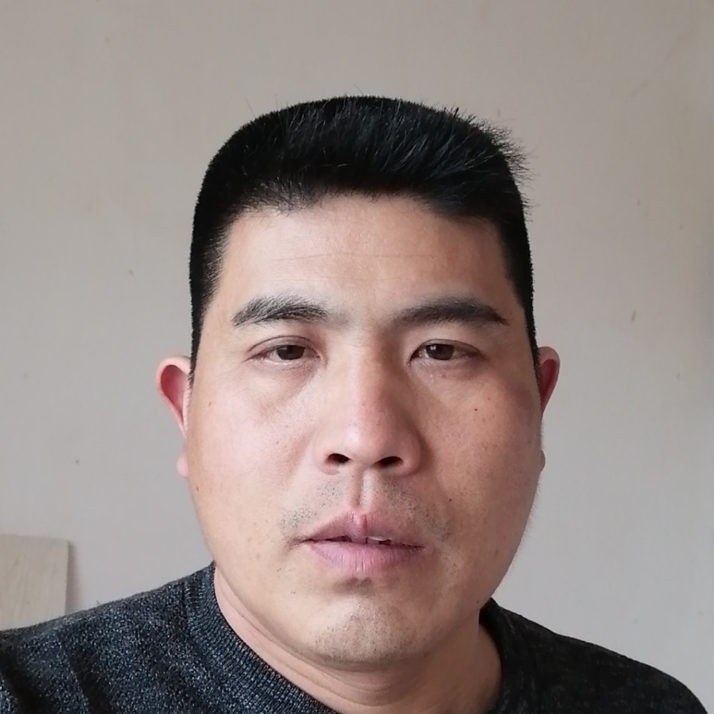 大树停止腼腆的照片