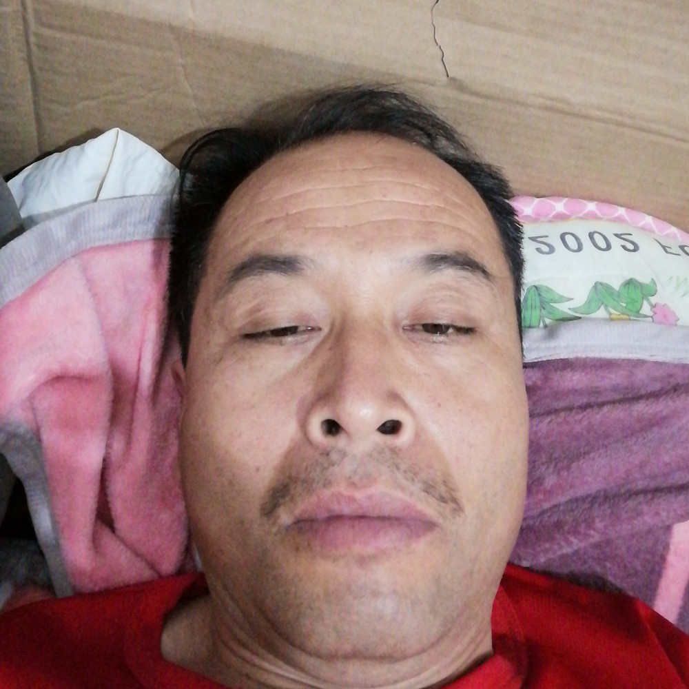 南桔北枳的照片