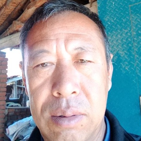火车爱恋狂野的照片
