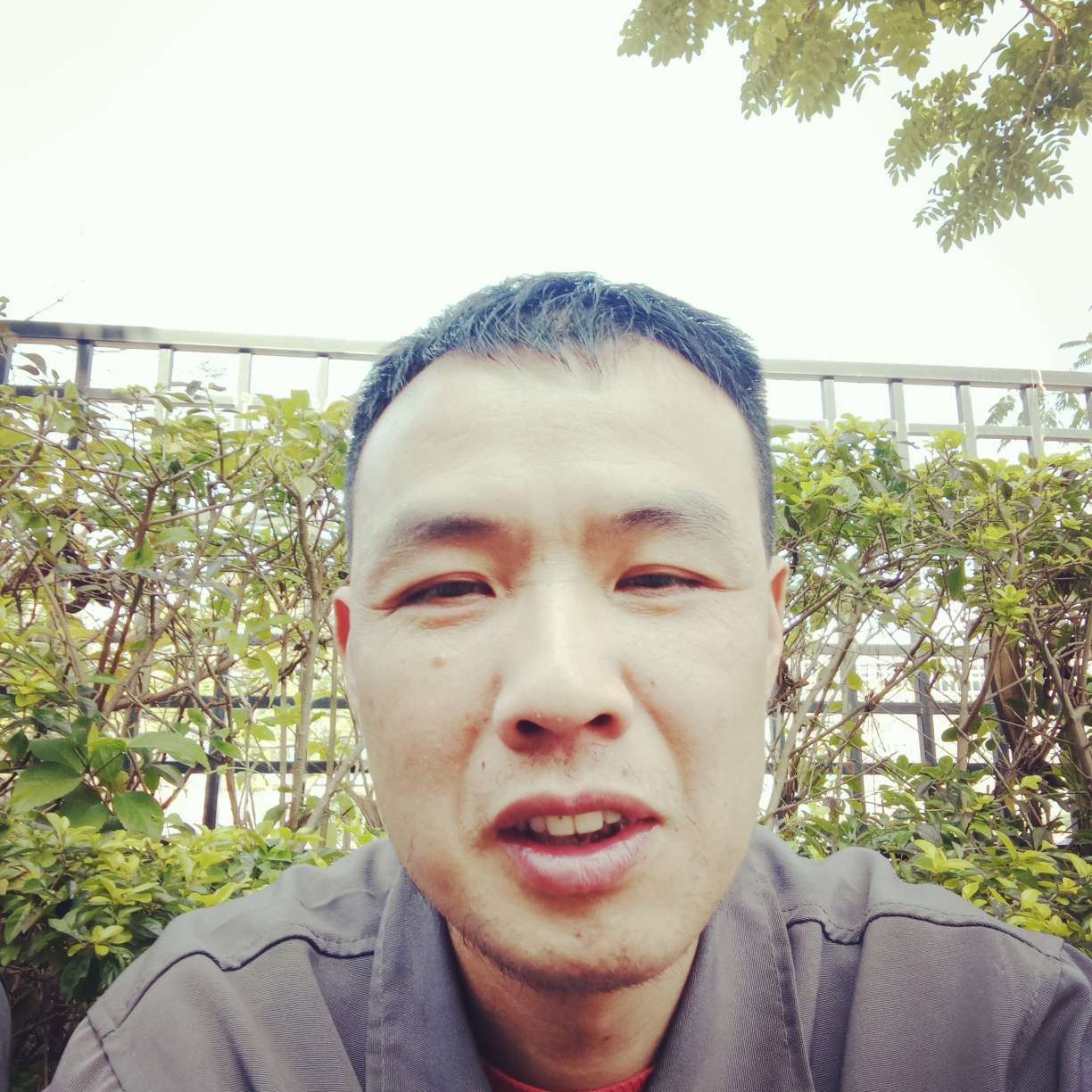 清秀笑菠萝的照片