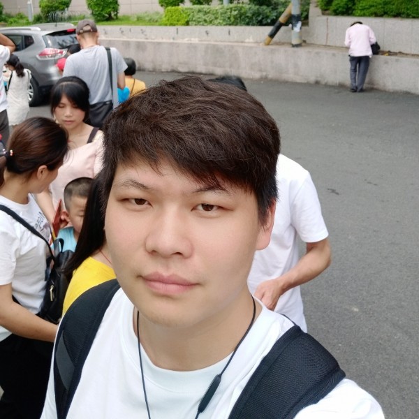 小刺猬完美的照片