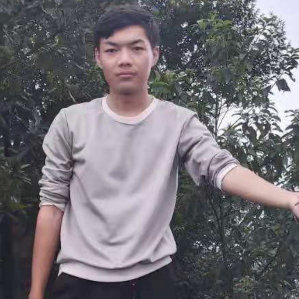 向日葵自觉的照片