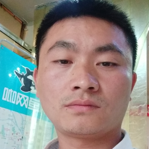 紫菜多么整齐的照片