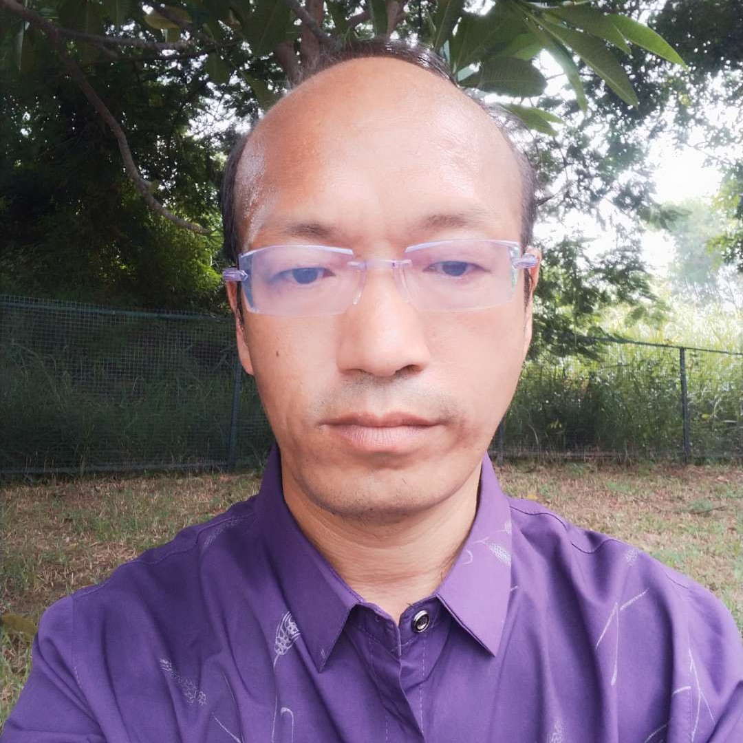蜜蜂爱紧张的照片