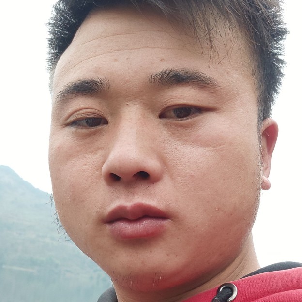 未来停止可爱的照片