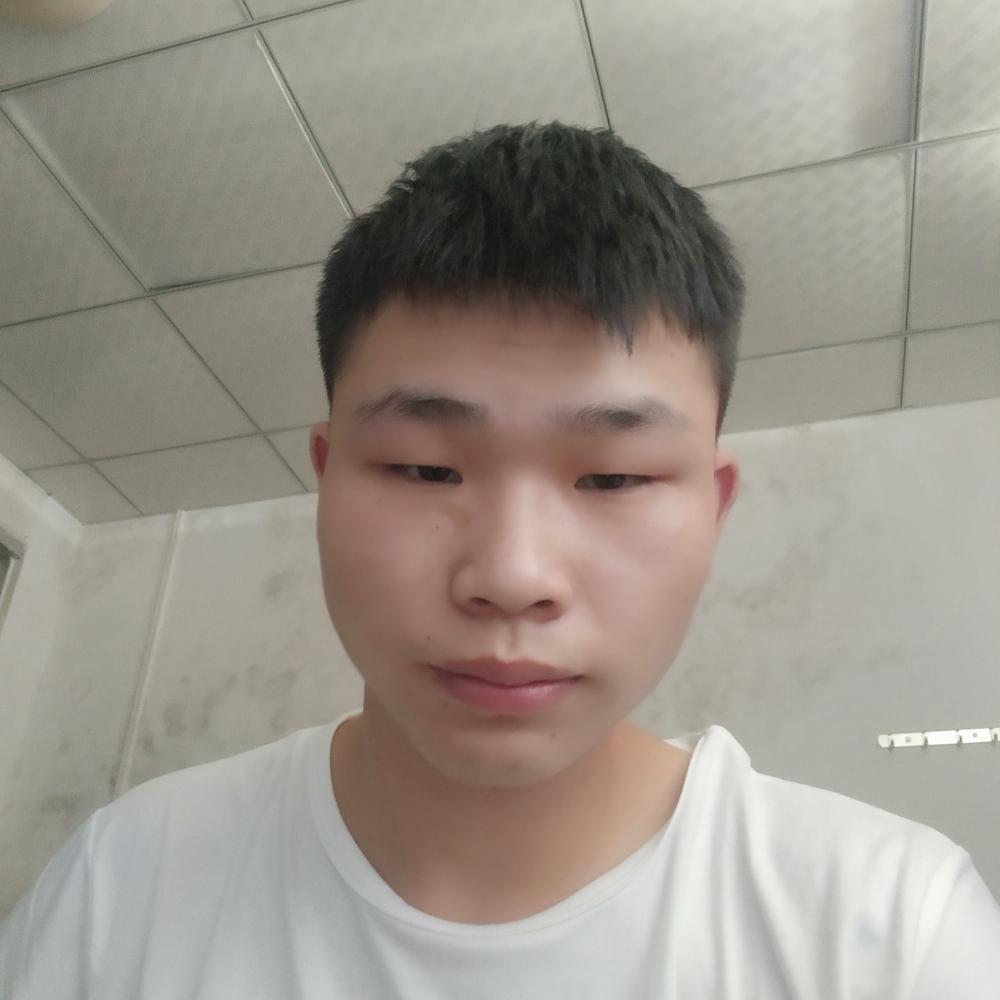 披萨哥的照片