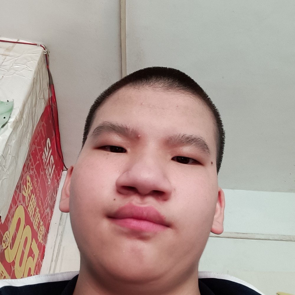 飞鸟倾心可爱的照片