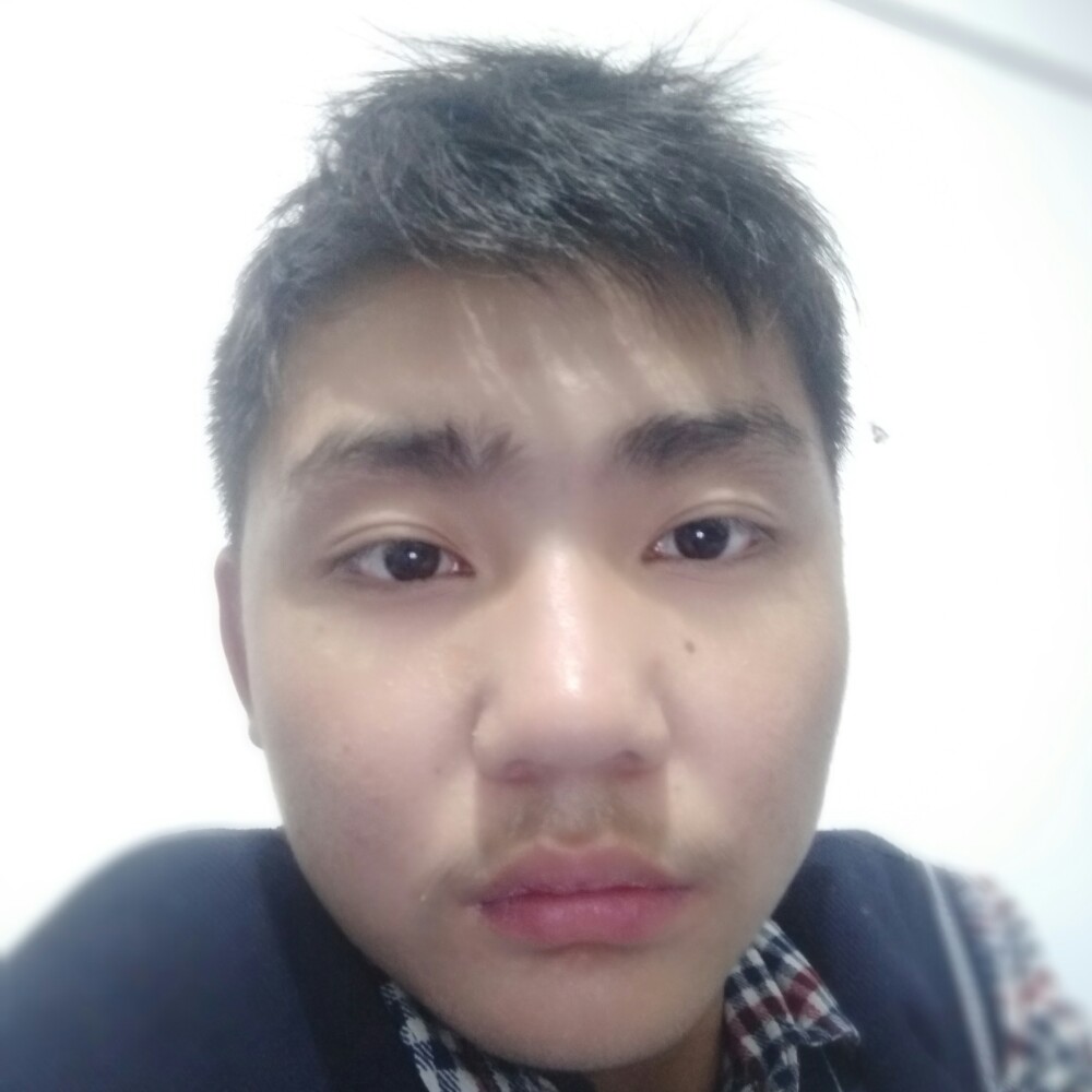 龙猫多么平常的照片