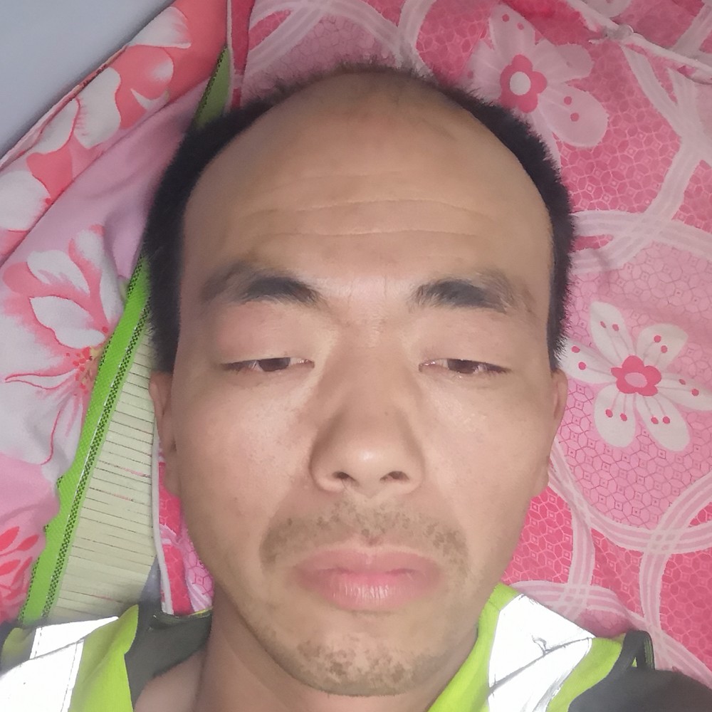 野狼紧张的照片