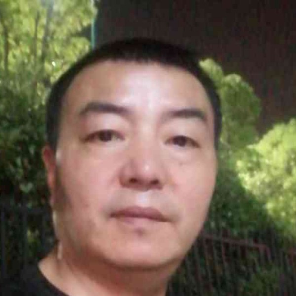 康乃馨多么落拓的照片