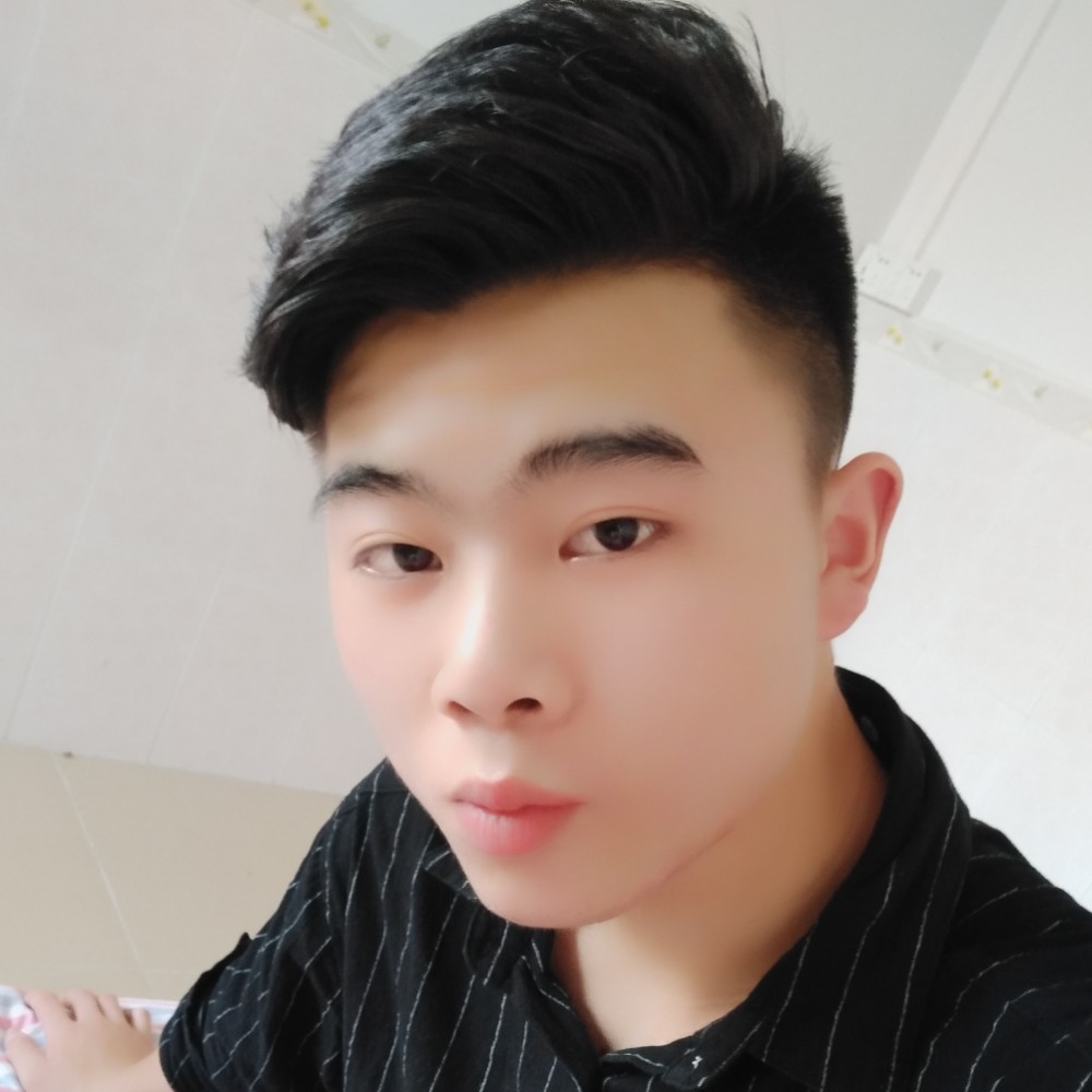 康乃馨爱恋悦耳的照片