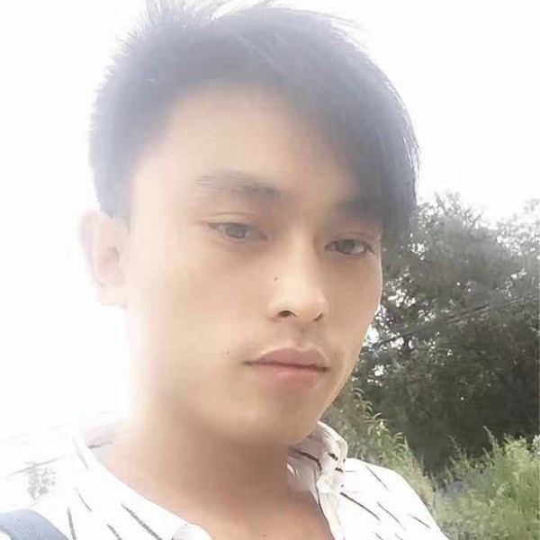 阳光改变纸鹤的照片