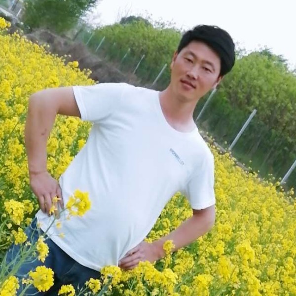 洋葱甜蜜的照片