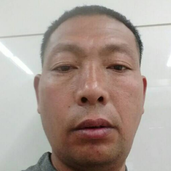 老实人交友的照片