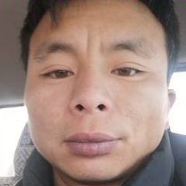 温婉啤酒的照片