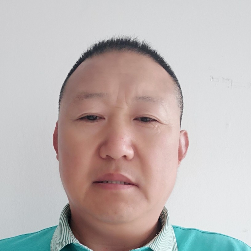 黄蜂发嗲的照片