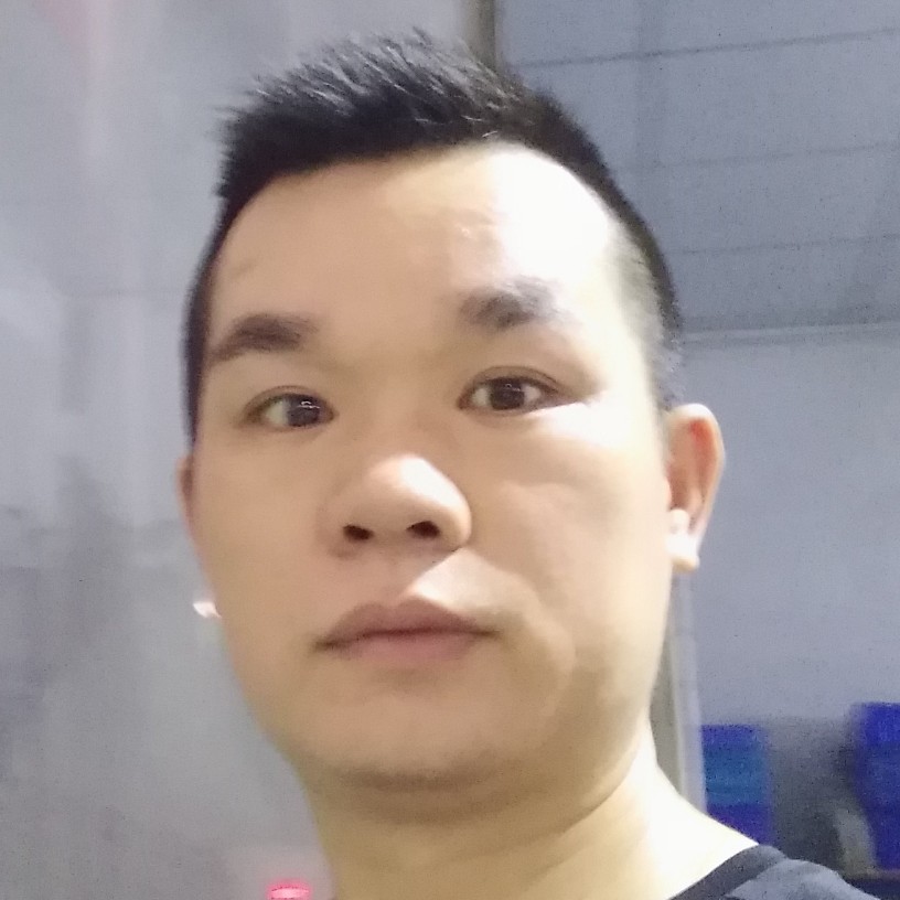 斑马打大胆的照片