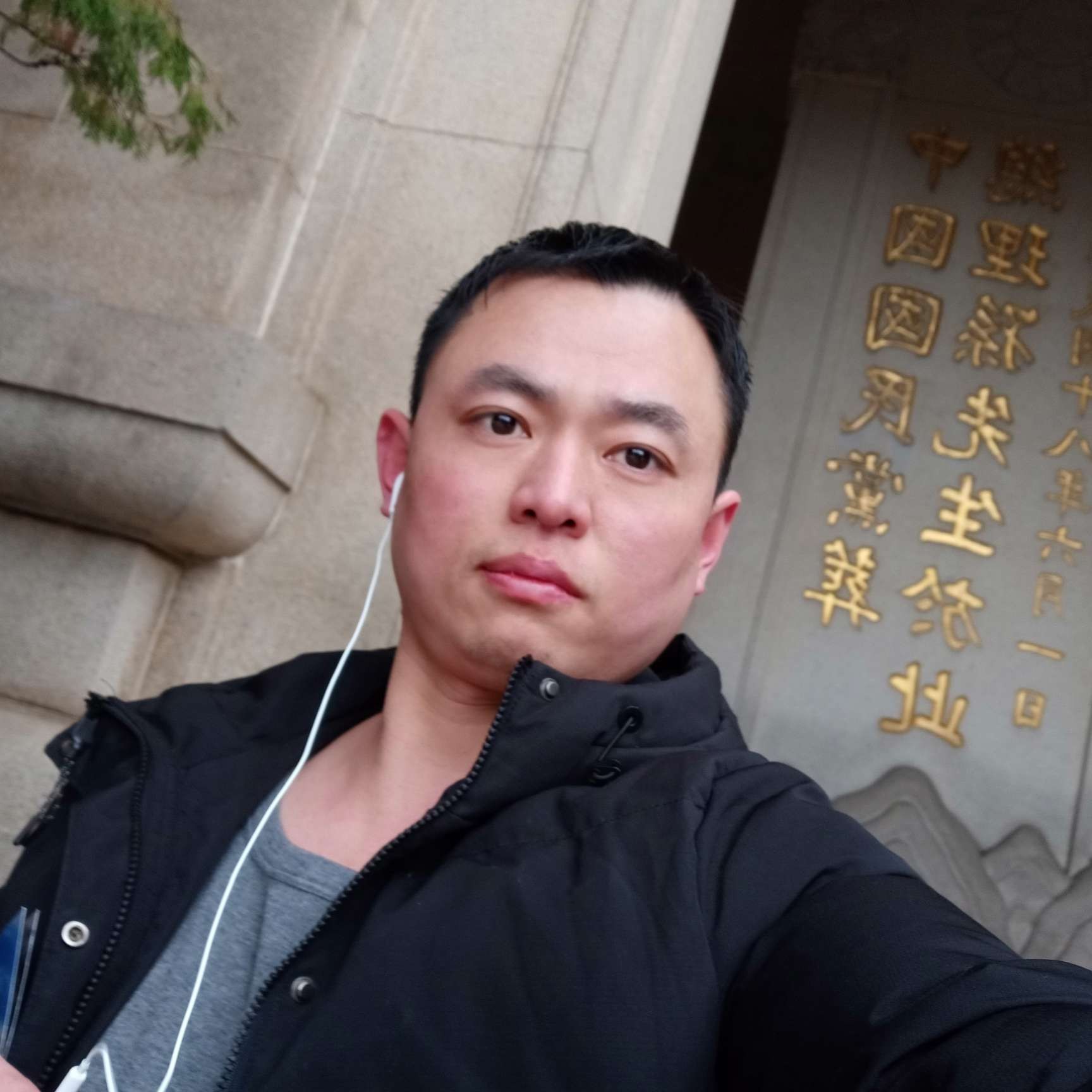 飞鸟苦恋整齐的照片