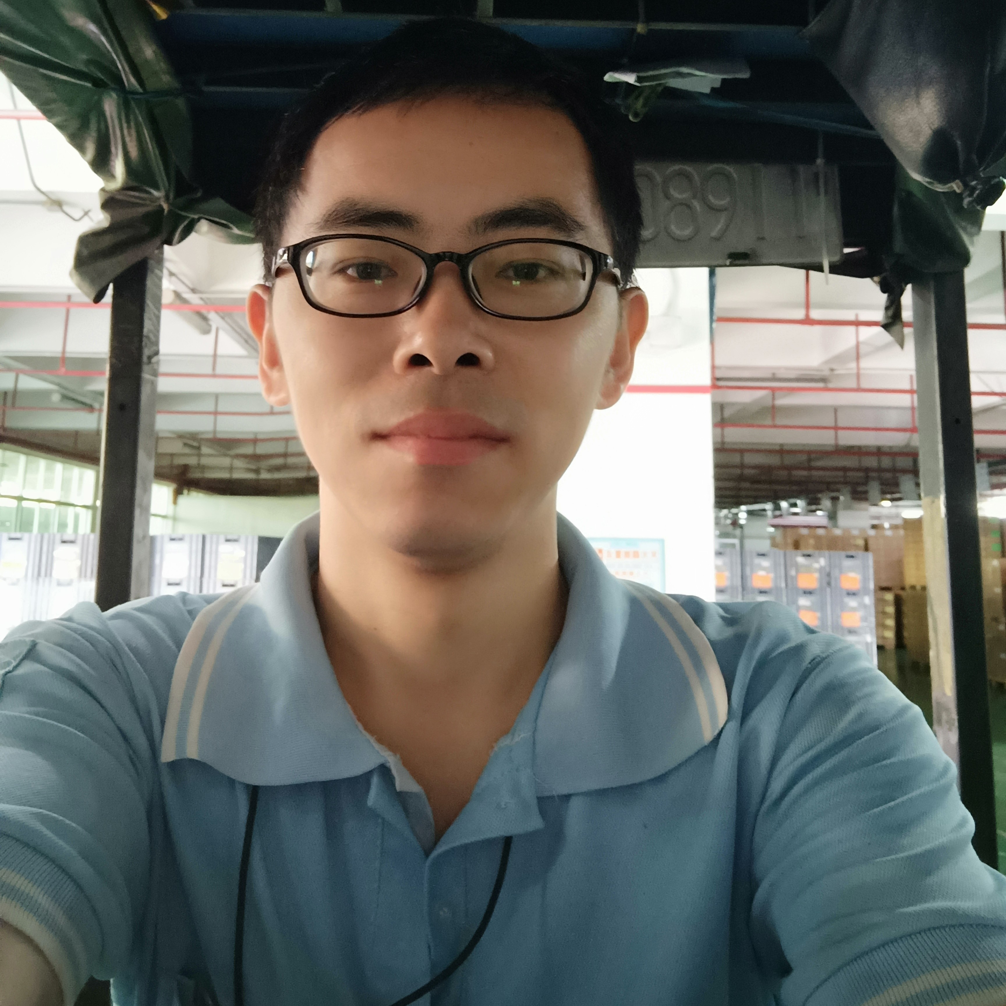 都市孤鹰的照片