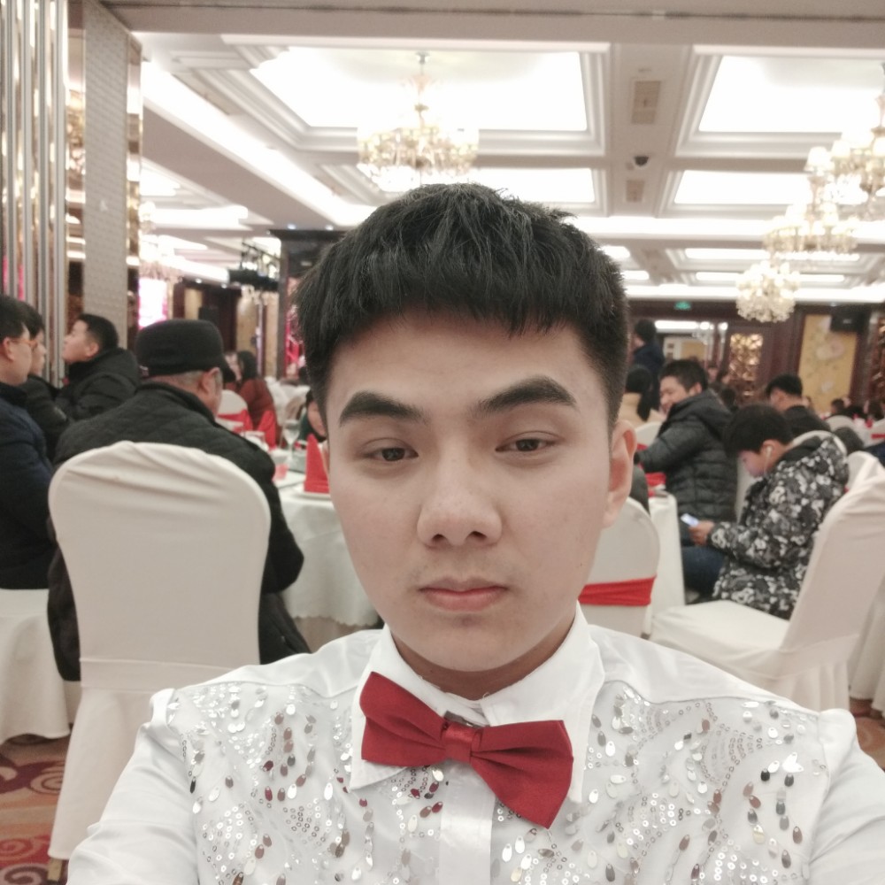 可爱的贝壳的照片