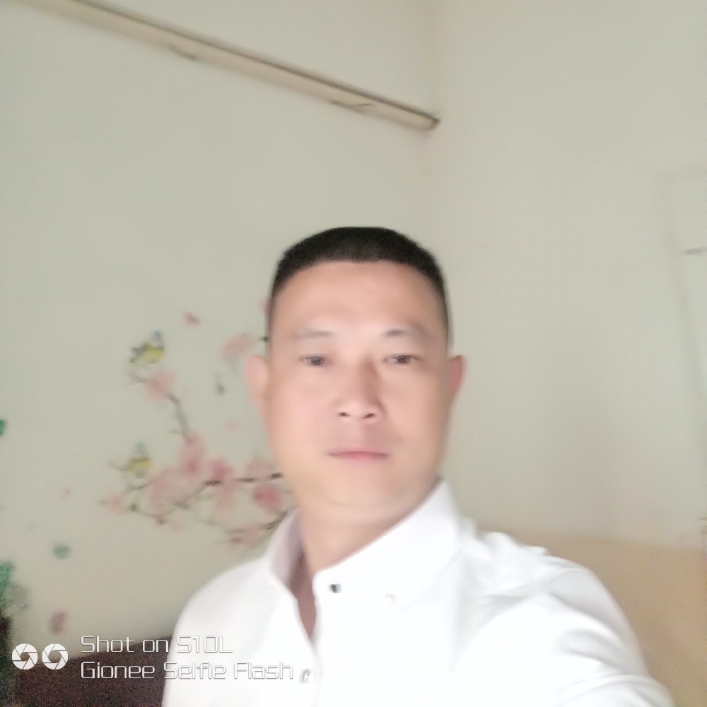绝影沉静寻找的照片