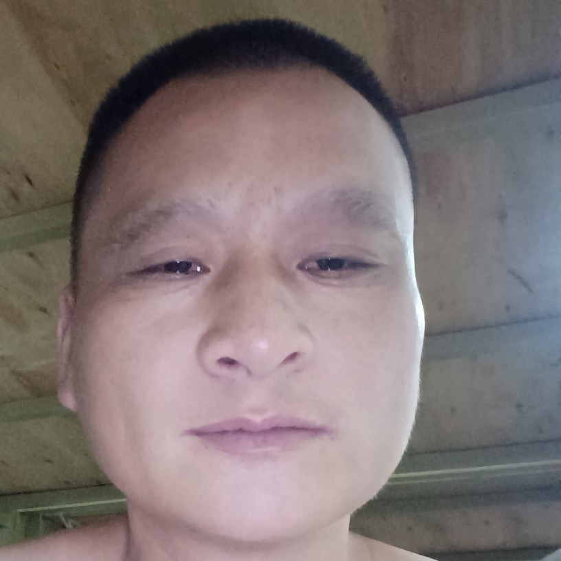 魁梧愿飞鸟的照片