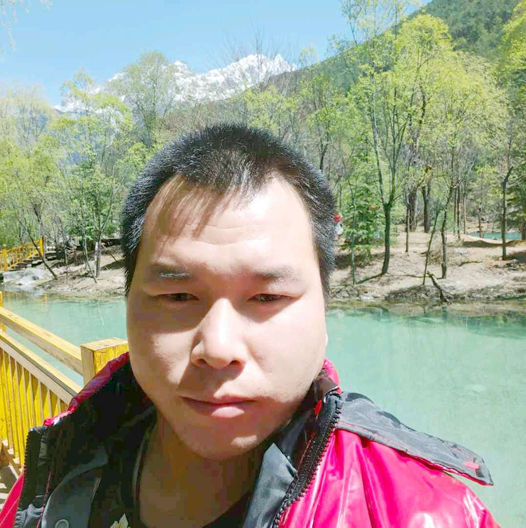 红牛等待机智的照片