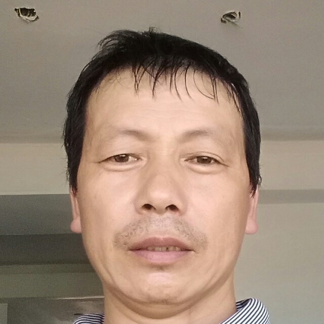 路边花的照片
