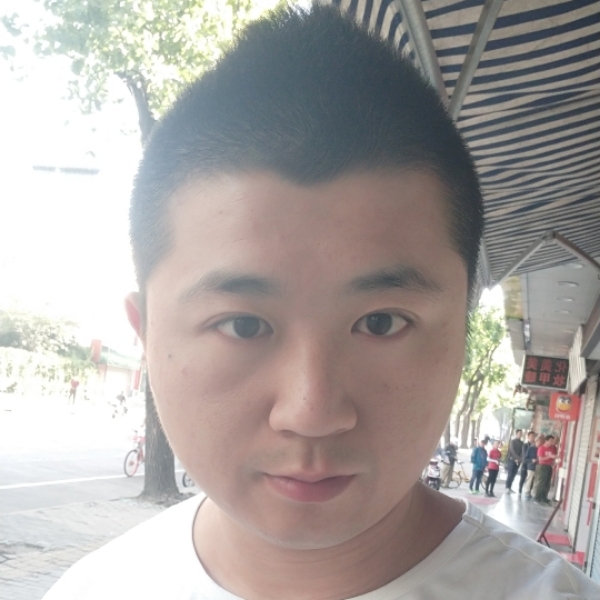 潇洒的老鸟的照片