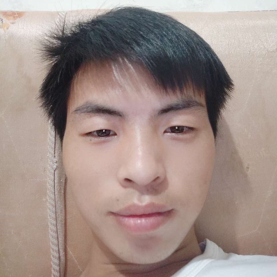 鸭子迎机智的照片